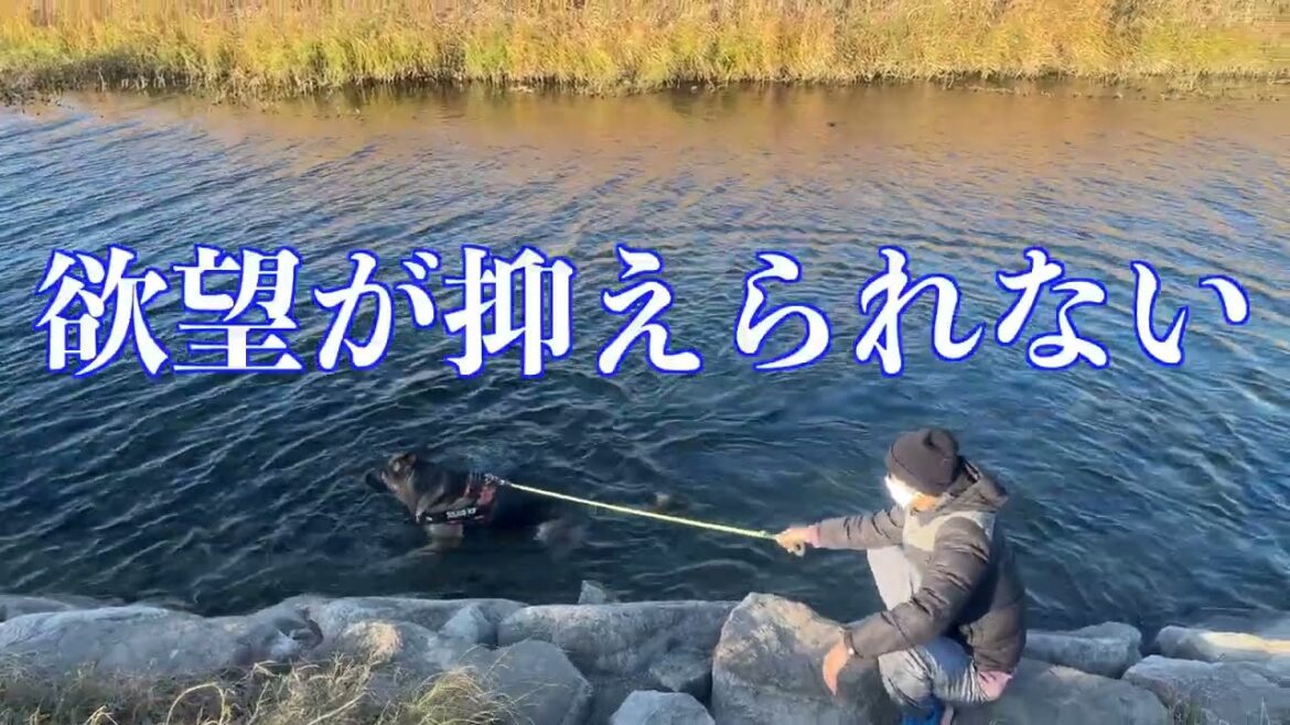 正月から欲望を抑えられないピカソ