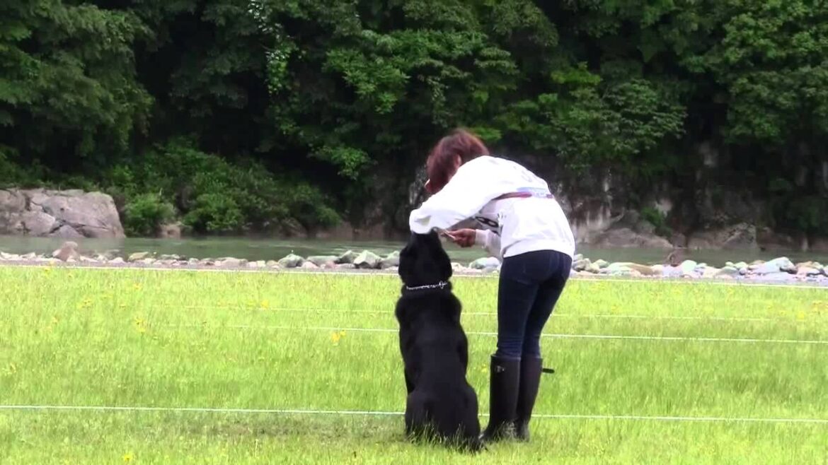 2012.6.10北陸訓練　2回目