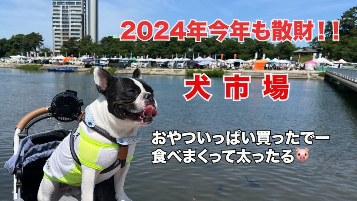 犬市場で大ハッスル！愛犬連れてドッグフェスで散財♡したら最高すぎた😅