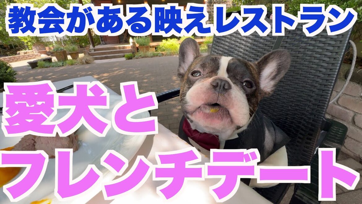 教会があるテラスでフレンチデート 愛犬用コース料理 【 フレンチブルドッグ french_bulldog 】 葉山庵
