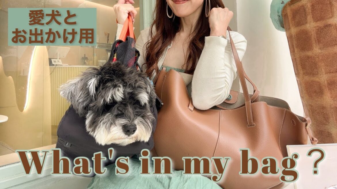 【バッグの中身】愛犬とお出かけする時の持ち物 What's in my bag?