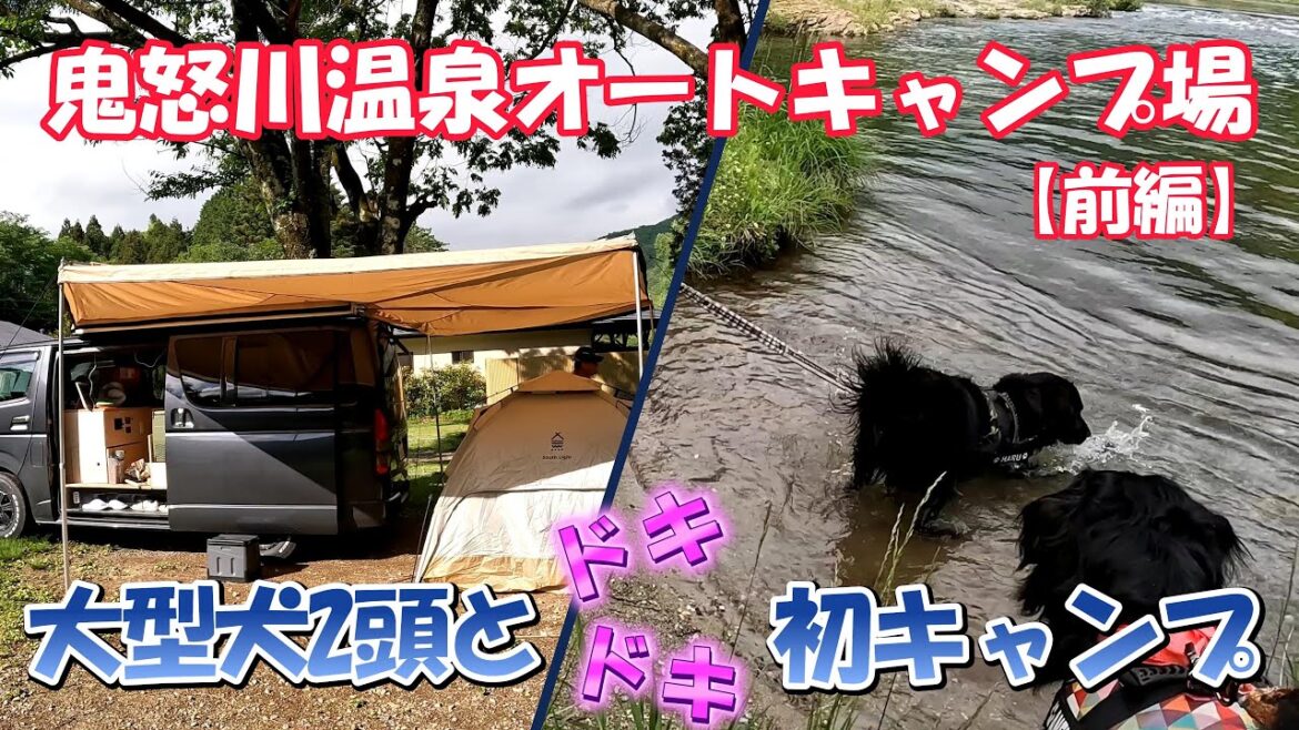 【大型犬2頭と初キャンプ】鬼怒川温泉オートキャンプ場に行って来ました！