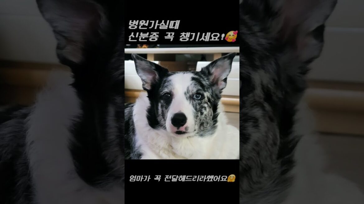 병원비 많이 나오고싶어요?