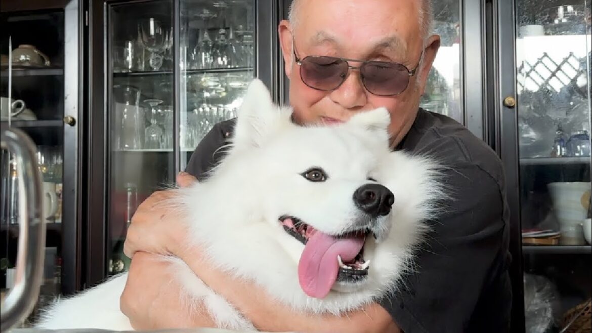 半年ぶりに再開した大好きなじいちゃんに終始べったりな犬
