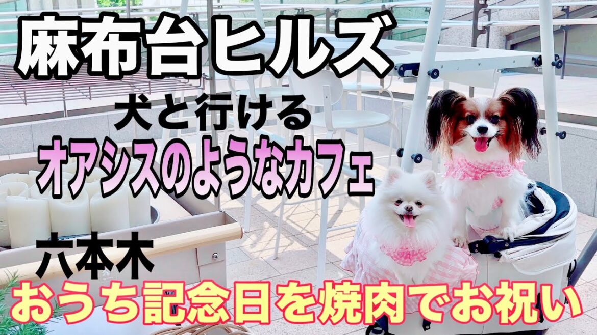 【麻布台ヒルズ】犬と行けるカフェ/【ニクノトリコ】でお祝い