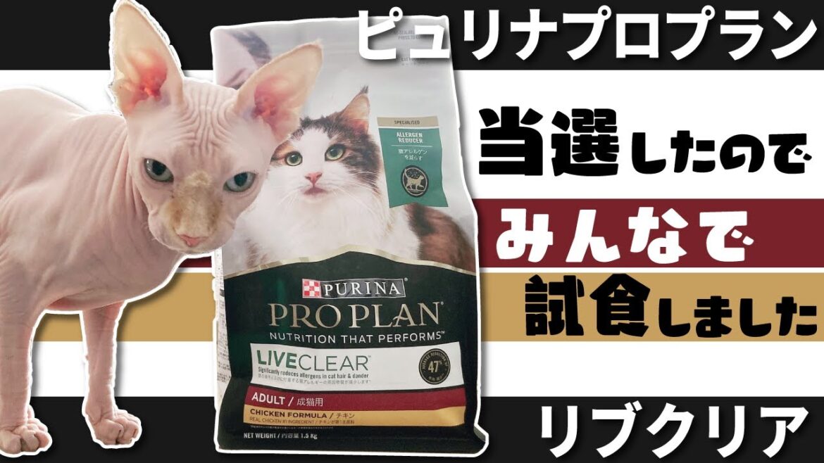 【みんなで試食】ピュリナプロプラン リブクリアが当たったよ【スフィンクス】