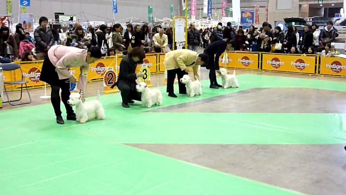 神奈川インター