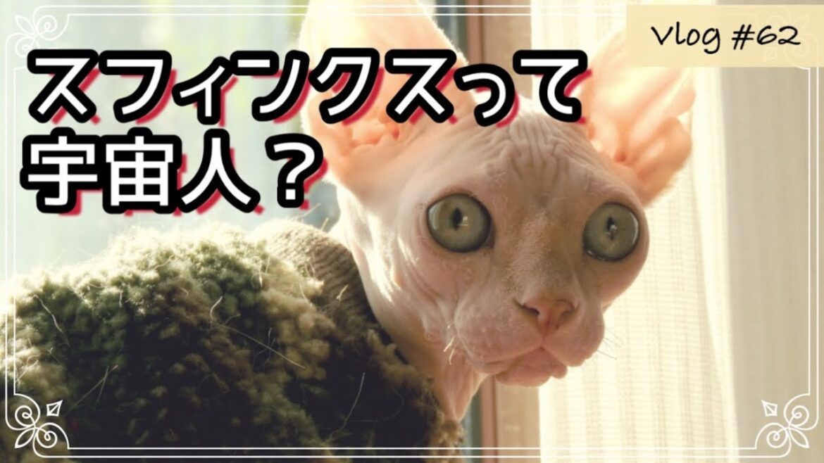 前澤さんが宇宙を目指した記念に、スフィンクスが宇宙から来た説を勝手に唱えてみた