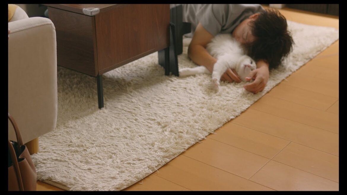 猫抱き枕
