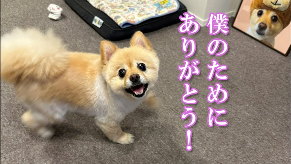 【仕送り開封】福島の実家から心温まる仕送りが届きました！