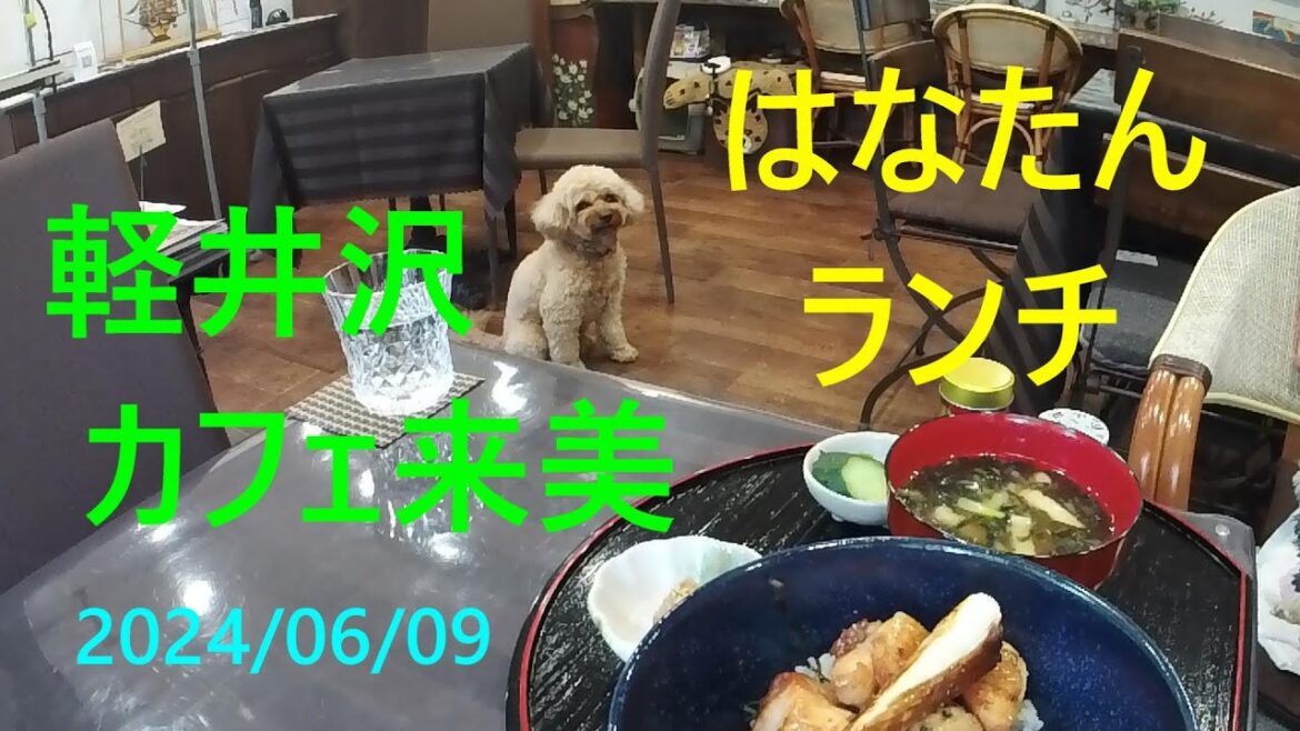 軽井沢 カフェ来美、ワンちゃん店内OK
