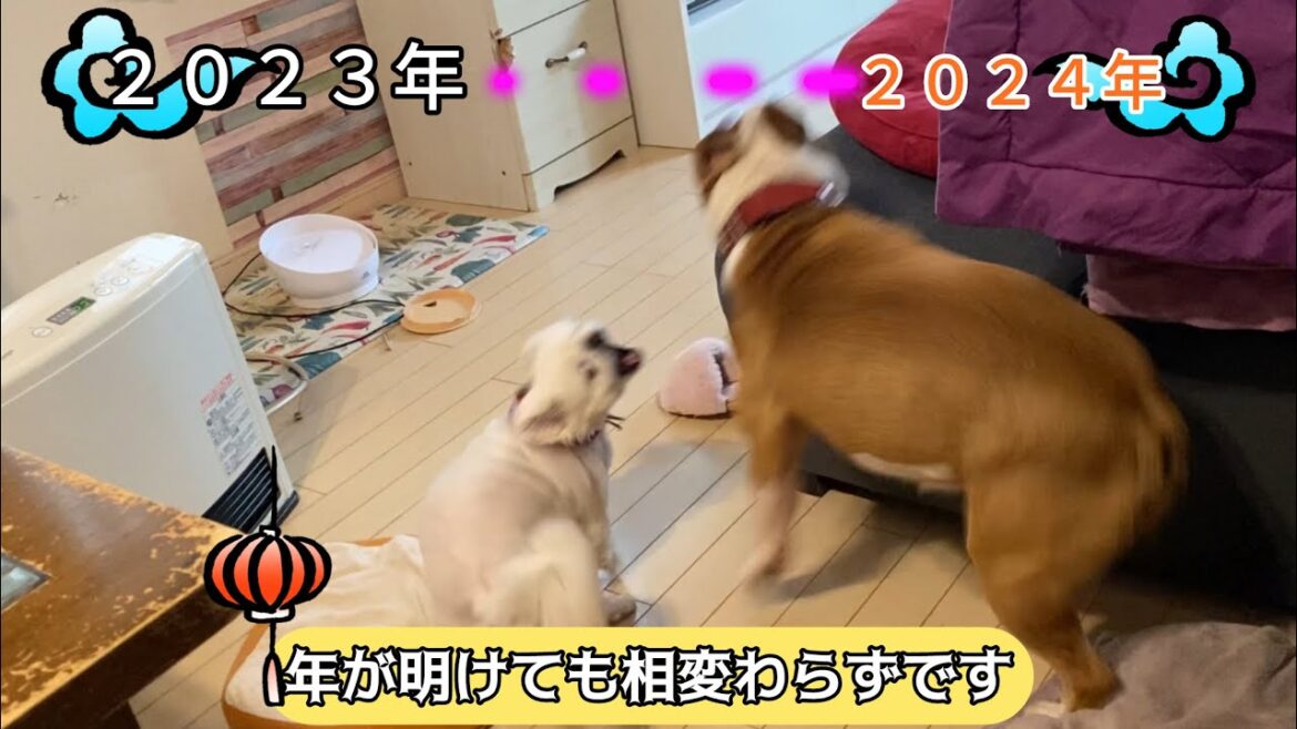 2024年始動！　相変わらずの梅子と竹子を見て