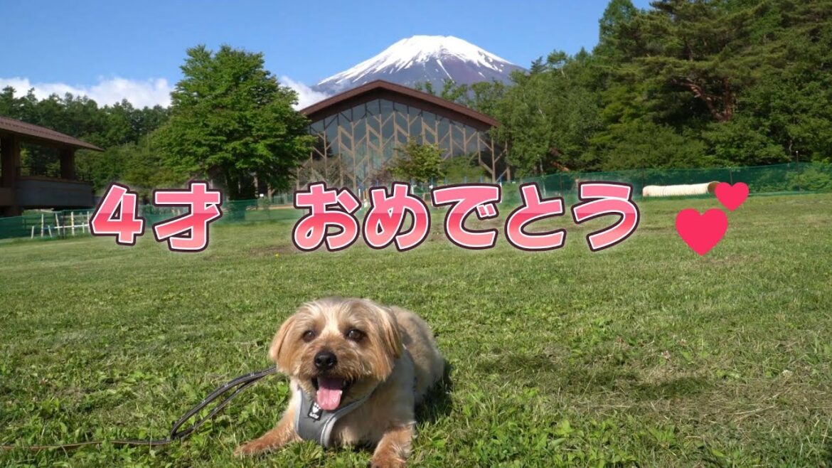 ４才おめでとう