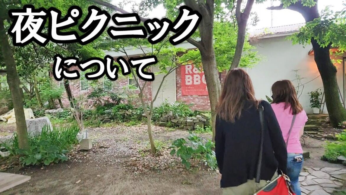 夜ピクニックについてとホットドッグに興奮するチワワとポメ