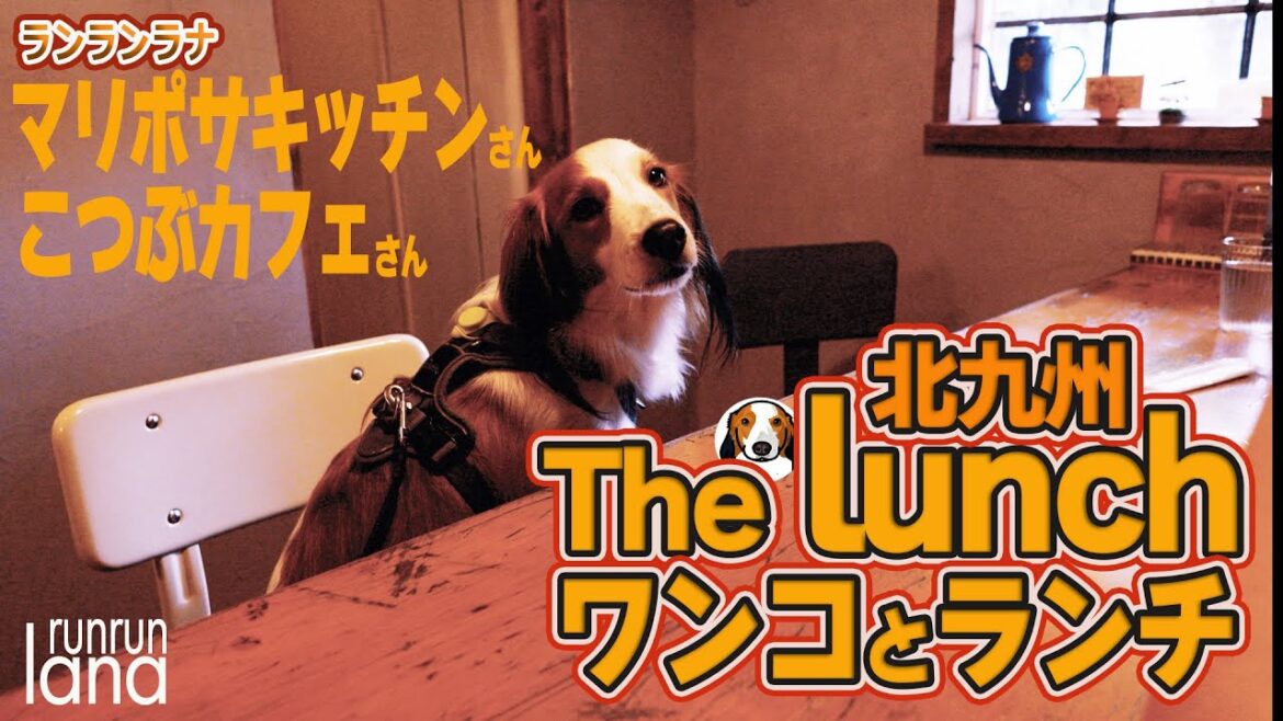 #110 ワンコとランチできるお店（北九州）