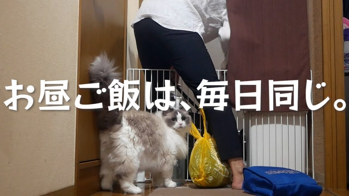 手取り12万円、底辺労働者のド田舎暮らし。