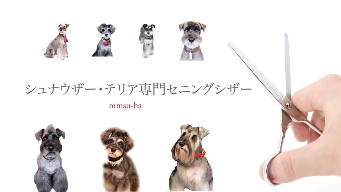 【スキバサミ】シュナウザー・テリア専用セニングシザー