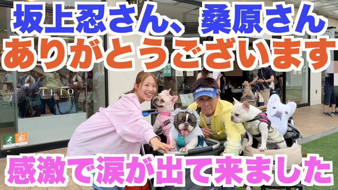 大好きな坂上忍さんと会えたくうちゃん 【 フレンチブルドッグ french_bulldog 】 sakagamike café