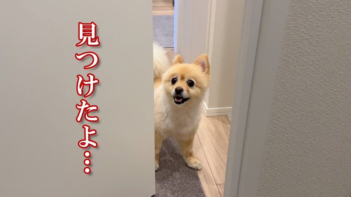 可愛い子からストーカー被害に遭っています…