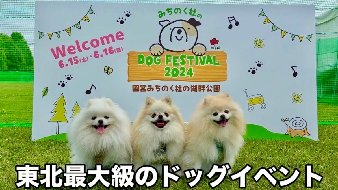 東北最大級のみちのく杜のドッグフェスティバルに行ったら凄すぎた 東北最大級のみちのく杜のドッグフェスティバルに行ったら凄すぎた
