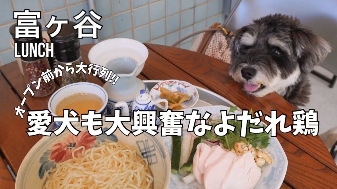 【幡ヶ谷ランチ】美味しいよだれ鶏定食を食べにミニチュアシュナウザーと代々木公園散歩