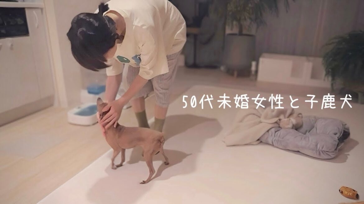 50代、未婚、子なし。年老いる準備で空回りな飼い主を心配させまいと頑張る息子が愛おしい休日【ミニピン】
