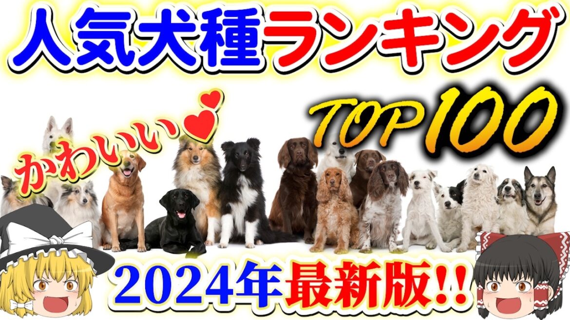【ゆっくり解説】超絶カワイイわんちゃん勢ぞろい！2024年《最新》人気犬種ランキングTOP100！