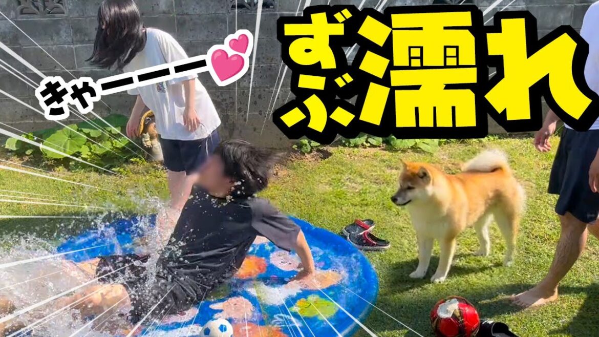 ずぶ濡れびしゃびしゃの家族にドン引きする柴犬