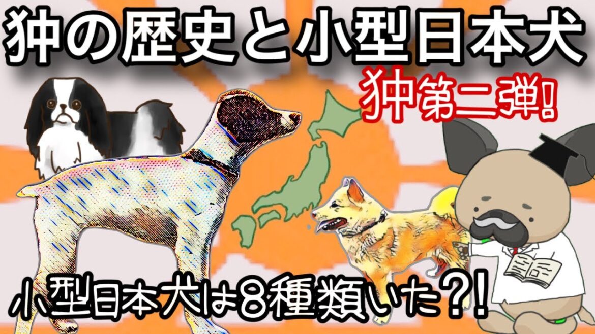 狆の歴史と小型日本犬〜小型日本犬は8種類⁈〜狆2狆２