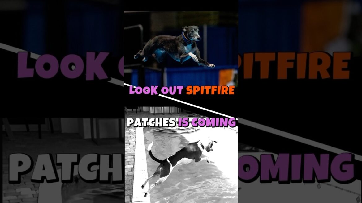 Can PATCHES Beat the BEST jumper in the World!?!