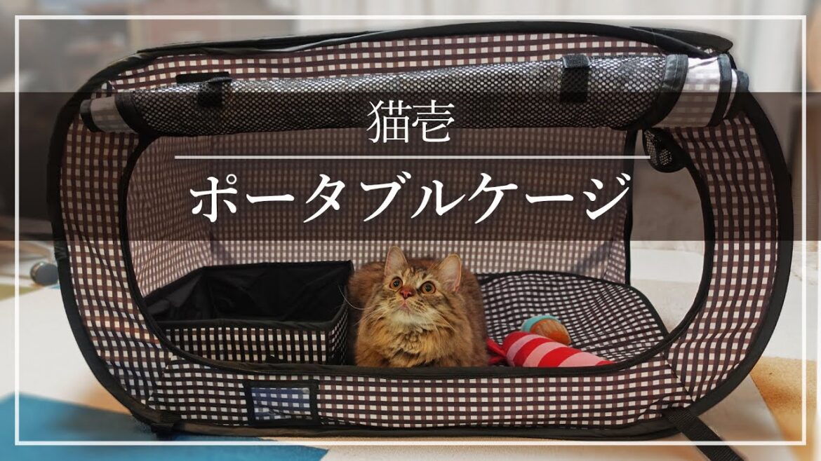【買ってよかったもの】猫壱 トイレ付きポータブルケージ