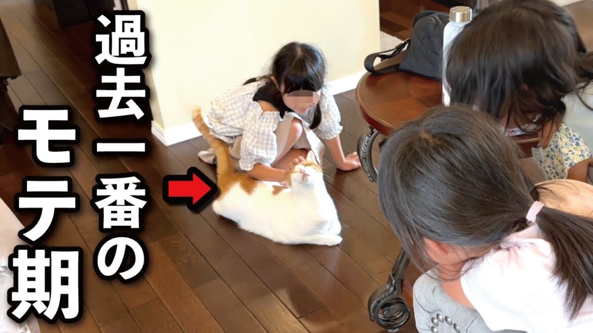 【甘えんぼ猫】女の子にチヤホヤされて超絶ご満悦な猫がコチラ