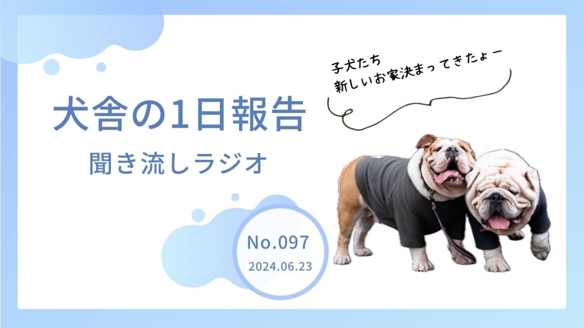 【音声動画】第097回　子犬たちのご成約状況🐶