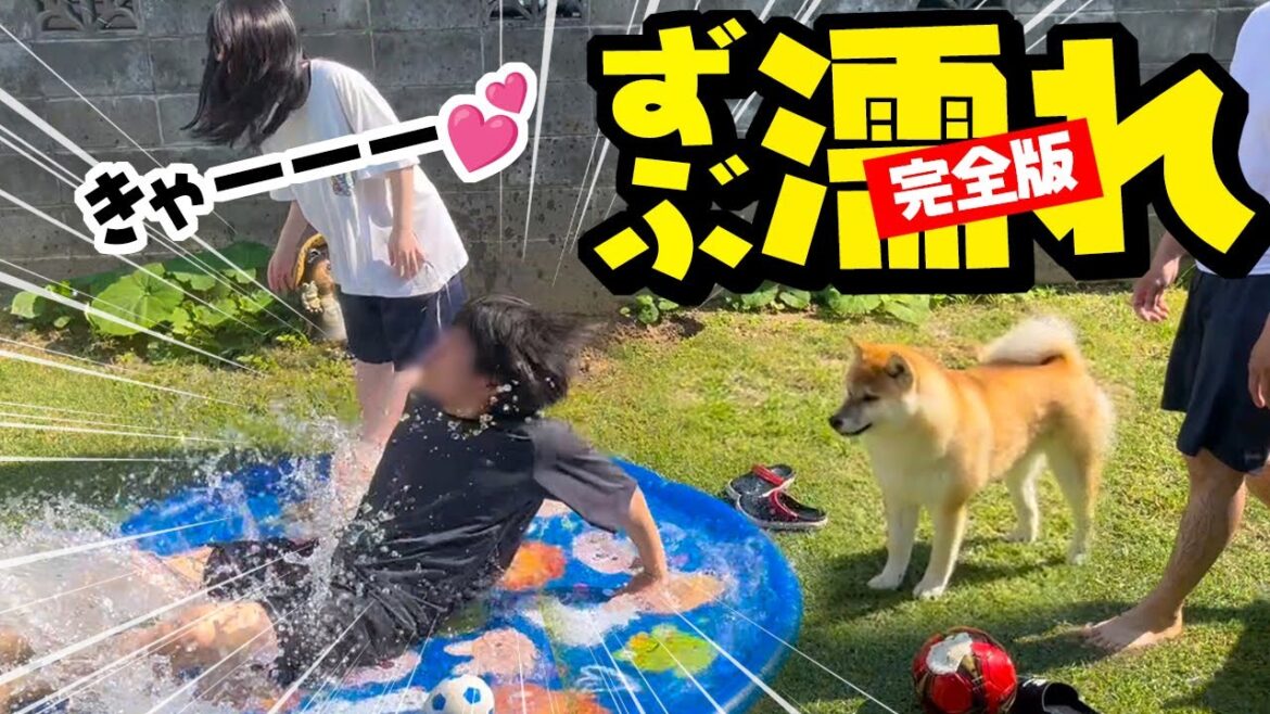 【完全版】ずぶ濡れびしゃびしゃの家族にドン引きする柴犬