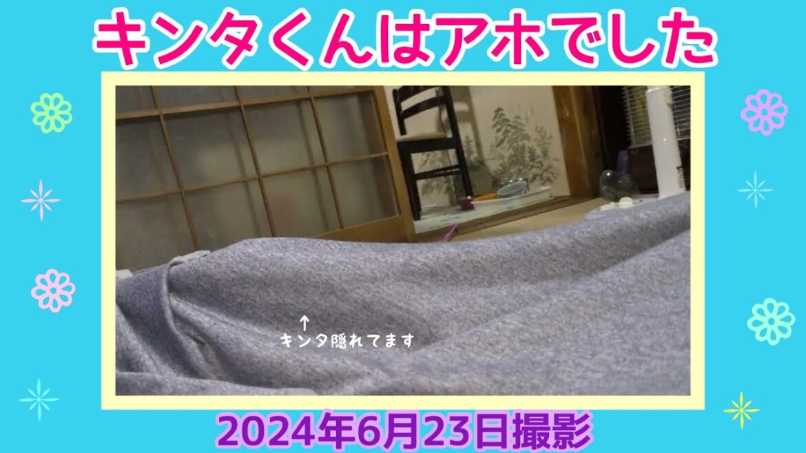 キンタくんはアホでした（2024年6月23日撮影）