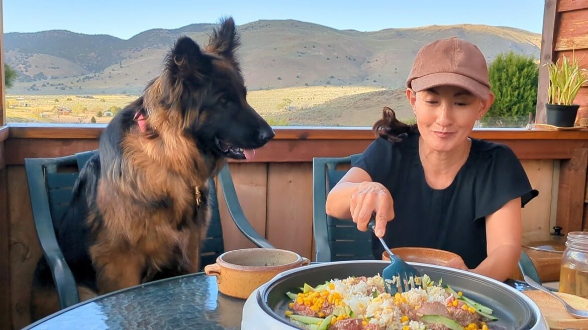 【ジャーマンシェパード】愛犬には厳しい態度で接してきましたが、最近は甘やかす楽しみもあることに気づきました😊
