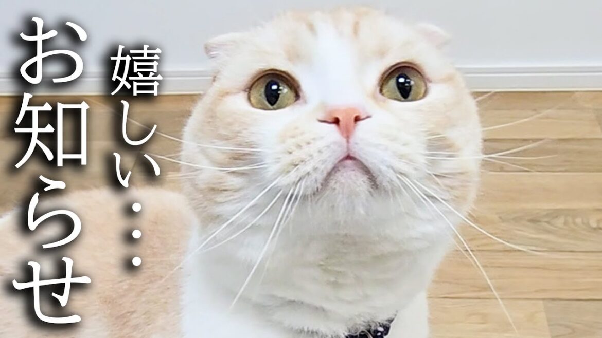 大変嬉しい事がありました...