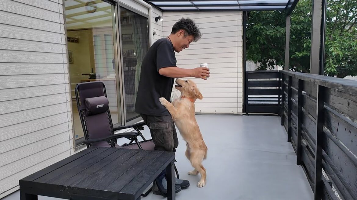 思い立ったら直ぐ行動！全力でこの時間を大切にしたいんです。【Golden Retriever japan】