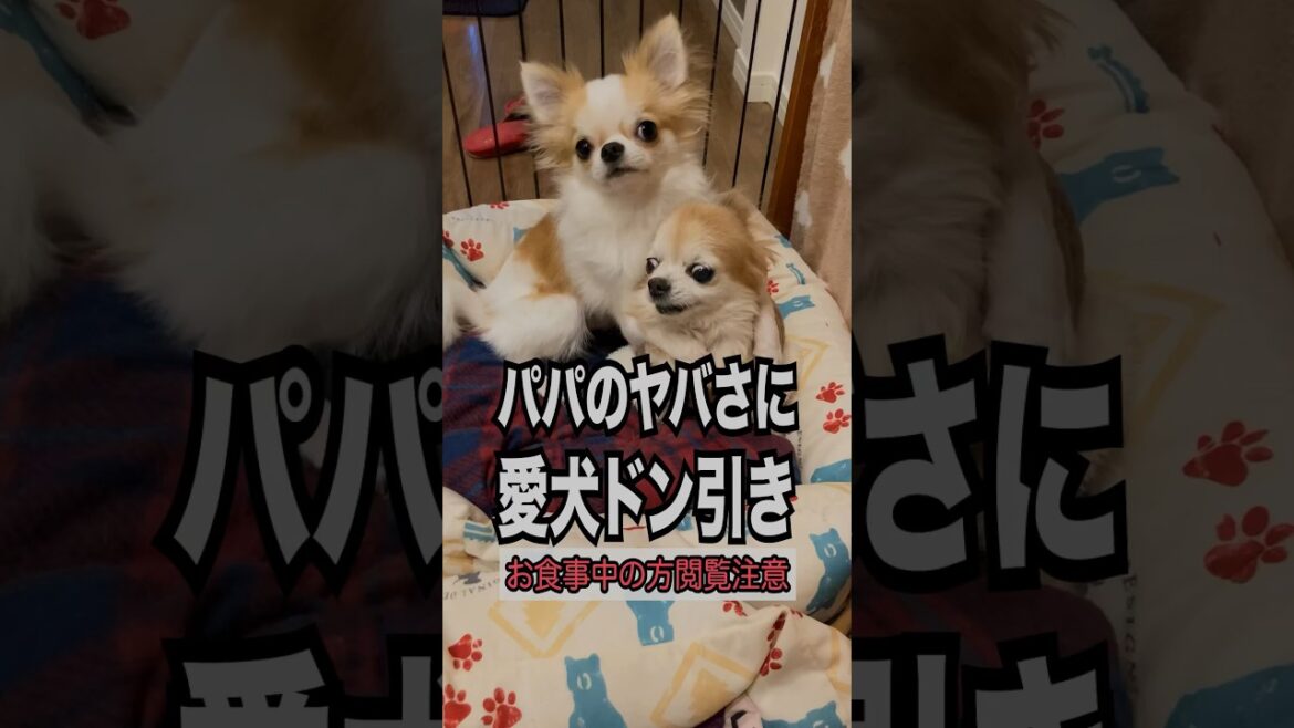 【お食事中の方閲覧注意】 【お食事中の方閲覧注意】
