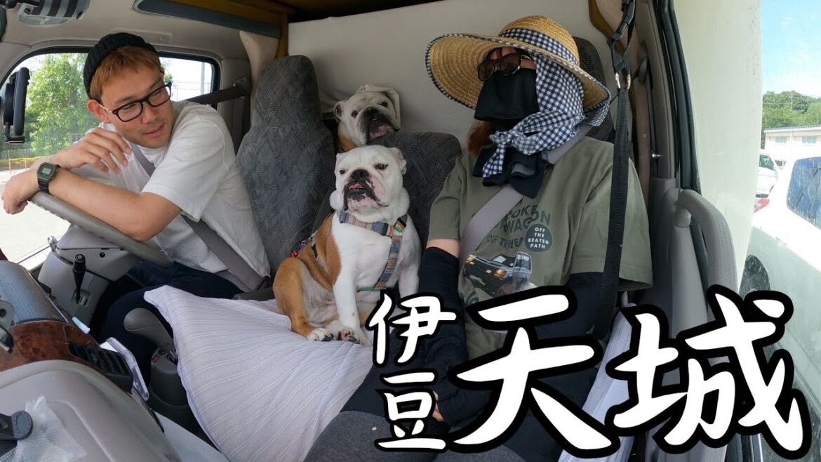 今が最高な季節!涼を求めて天城渓流釣り自給自足1泊2日車中泊旅/ヤル気の出し方間違えるブル3匹 今が最高な季節!涼を求めて天城渓流釣り自給自足1泊2日車中泊旅/ヤル気の出し方間違えるブル3匹