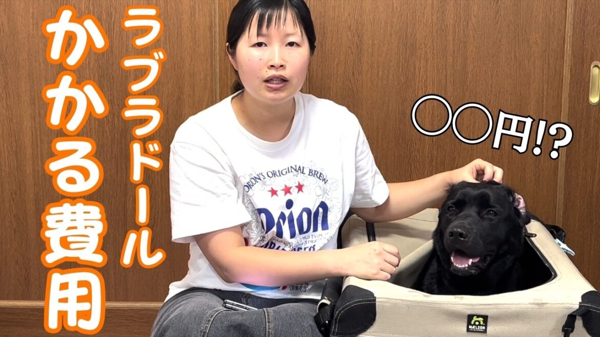 ◯◯円⁉ラブラドールを飼う時にかかる費用について大解説 ◯◯円⁉ラブラドールを飼う時にかかる費用について大解説