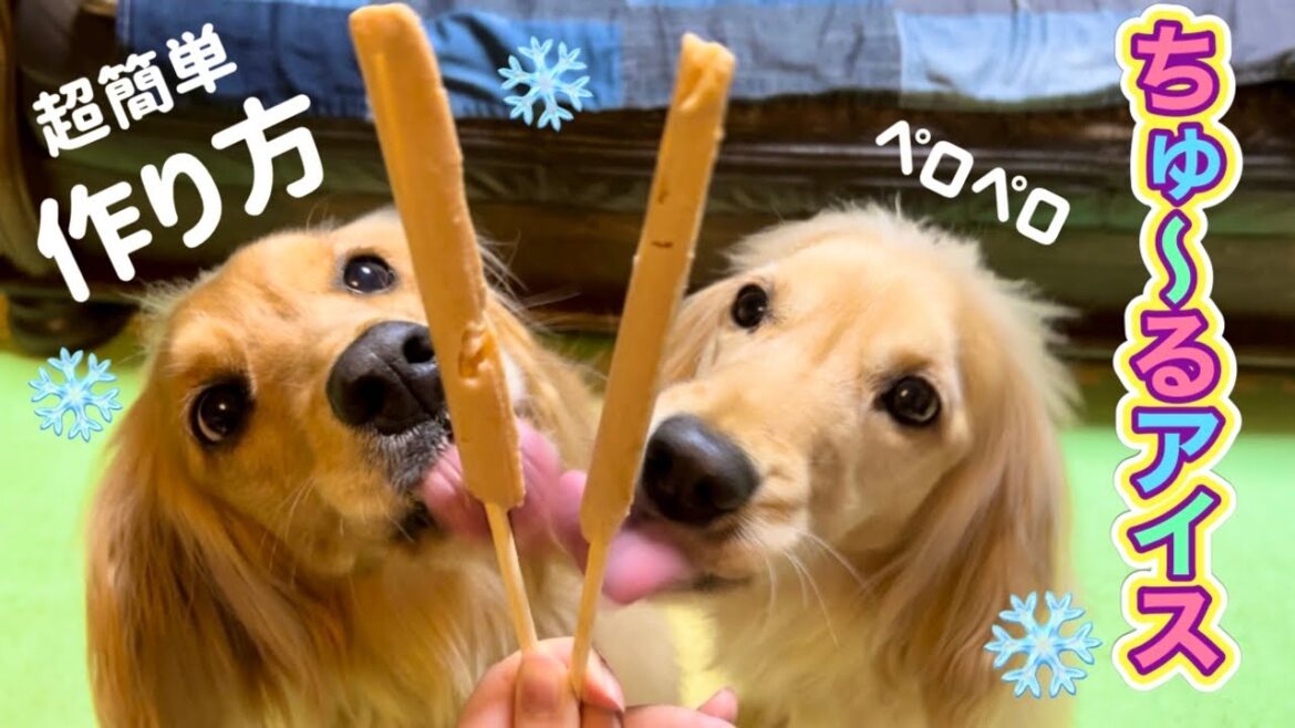 超簡単！チュールアイスを作ったら犬の食いつきが凄かった！ASMR 咀嚼音
