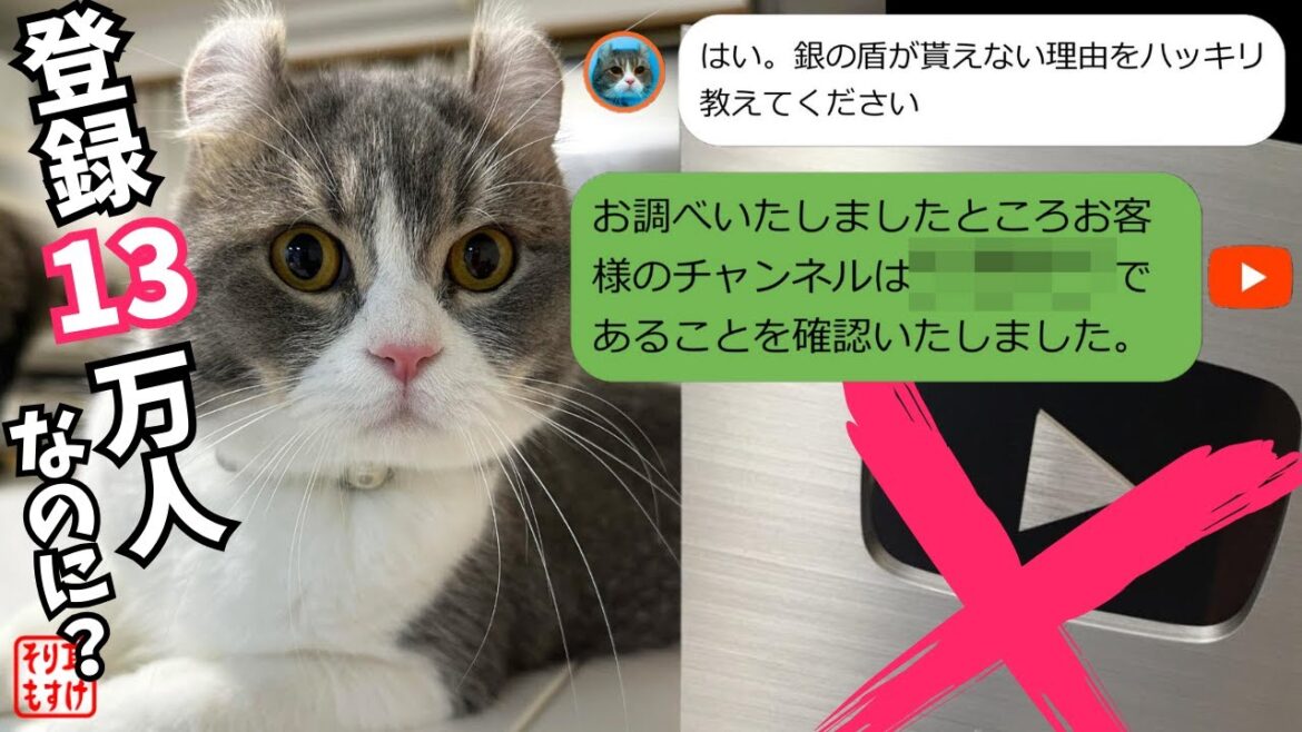 絶句…。YouTubeから銀の盾を貰えない理由が判明しました。