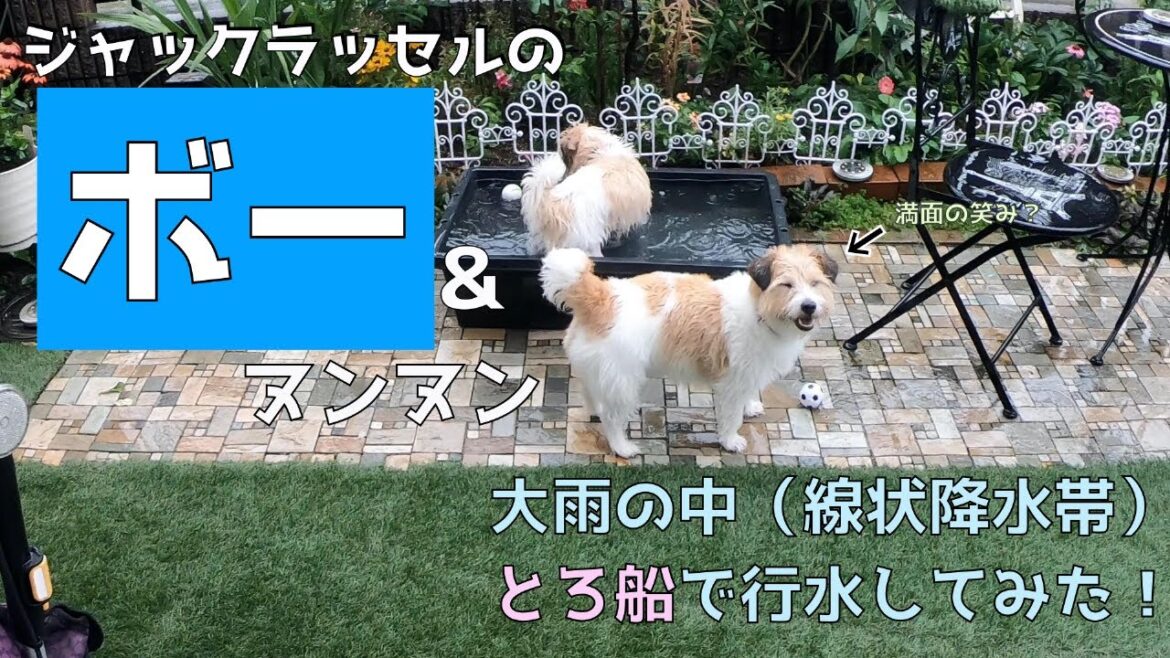 ボー＆ヌンヌン、大雨の中、トロ船で行水してみた！