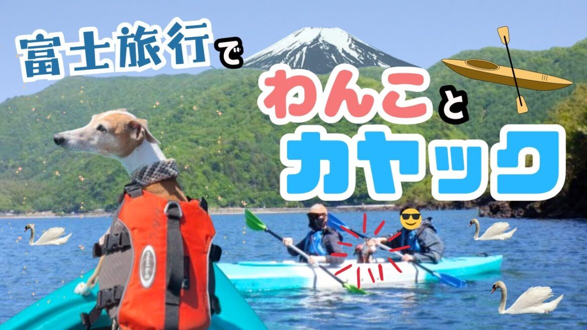 愛犬と一緒にカヤックに乗ったよ！【関西弁でしゃべるイタグレ ことぶき】富士旅行 後編！