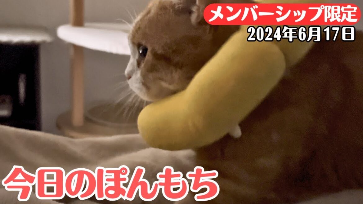 【特別公開】この動画は6月17日にメンバー限定で公開した動画です！