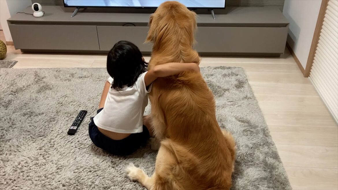 仲が良すぎて、娘と愛犬が同時に体調を崩しました。。。。
