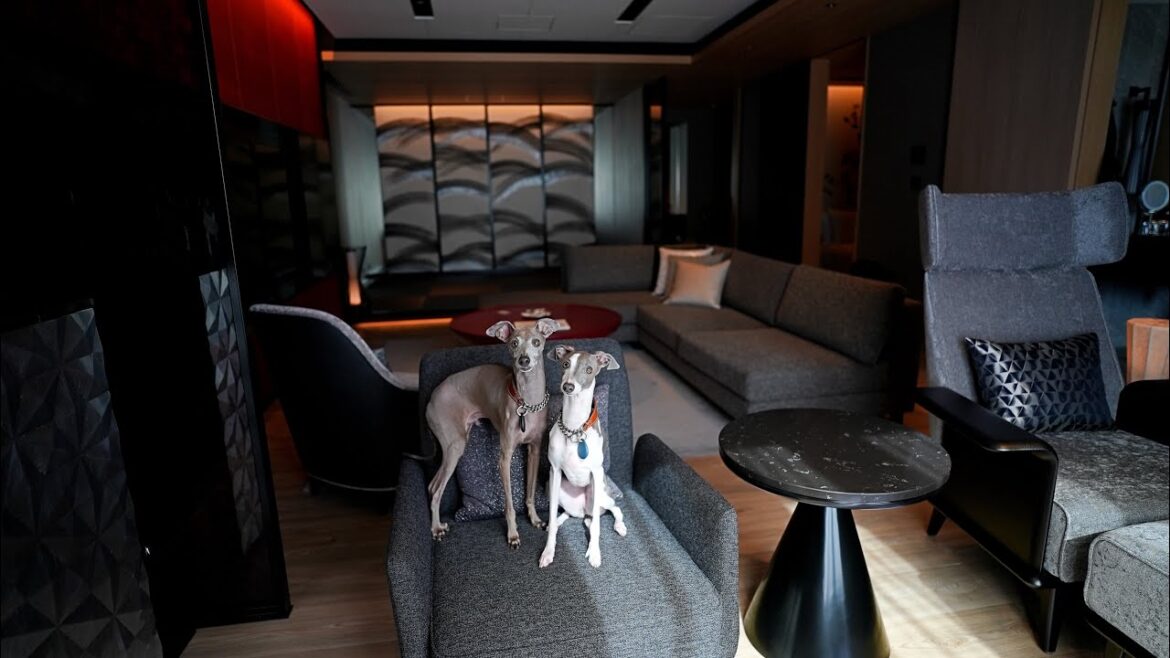 【グレン家の夏休み2024】３月にオープンしたばかりの高級ホテルのスイートルームを満喫する犬達、そして世界文化遺産へ
