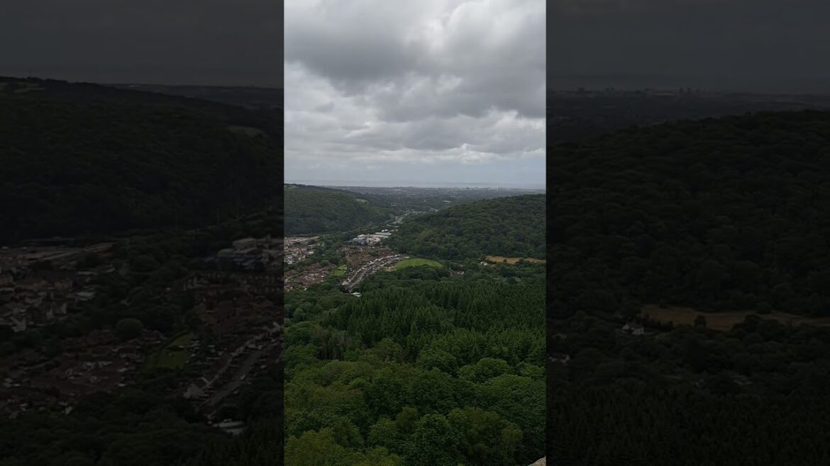 Chilling with the Bedlington Whippet with a view of Cardiff from up the valley, #nature #doglover