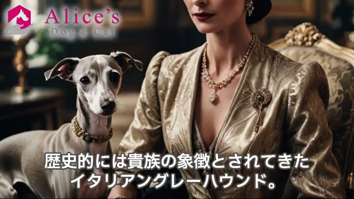 犬種百科図鑑 – イタリアングレーハウンドの魅力【犬との暮らし】#イタリアングレーハウンド #ペット用品 犬種百科図鑑 - イタリアングレーハウンドの魅力【犬との暮らし】#イタリアングレーハウンド #ペット用品